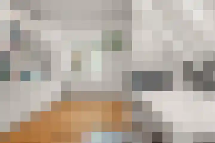 Stille Veerkade 3 Den Haag thumbnail 41