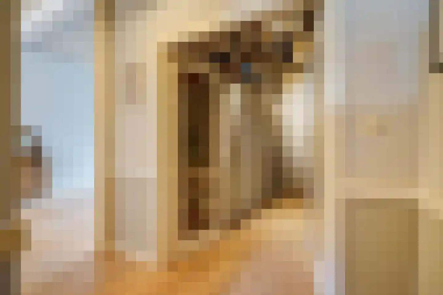 Stille Veerkade 34 Den Haag thumbnail 17