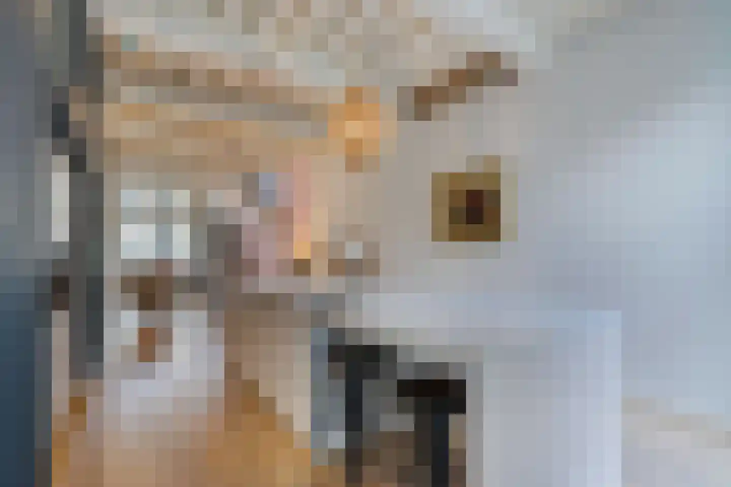 Stille Veerkade 34 Den Haag thumbnail 19