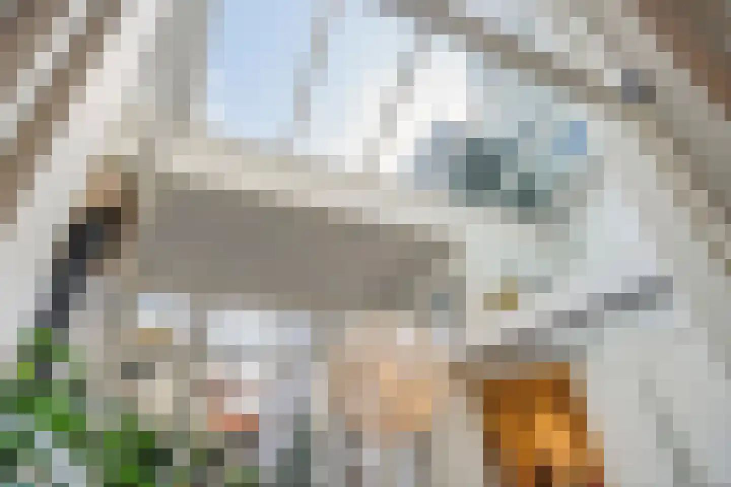 Stille Veerkade 34 Den Haag thumbnail 22