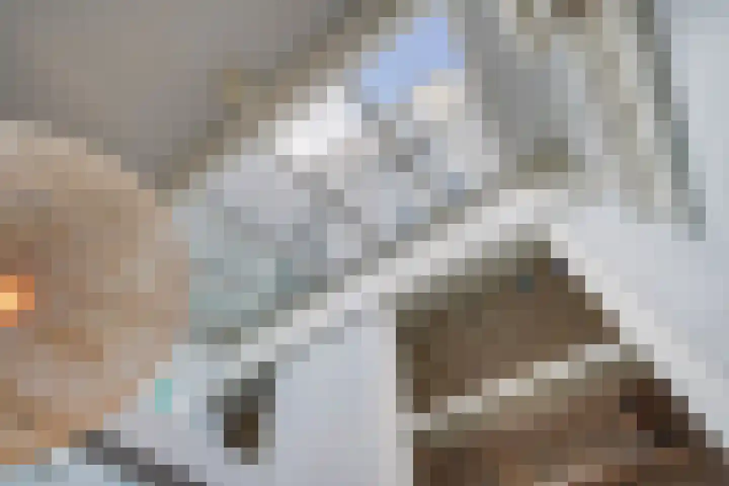 Stille Veerkade 34 Den Haag thumbnail 24