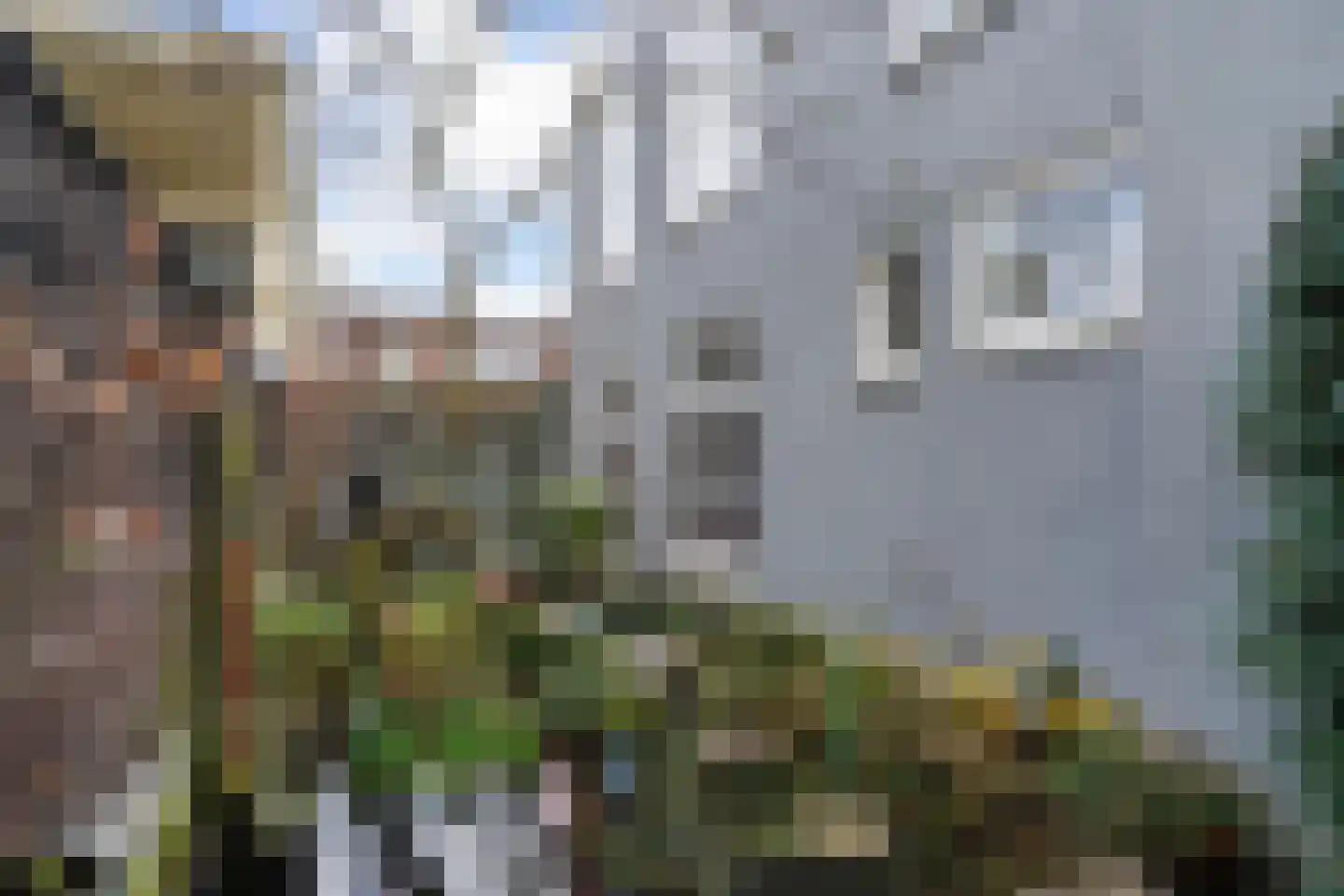 Stille Veerkade 34 Den Haag thumbnail 27