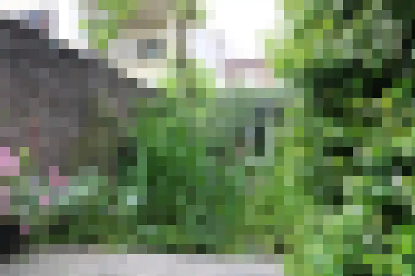 Stille Veerkade 34 Den Haag thumbnail 30