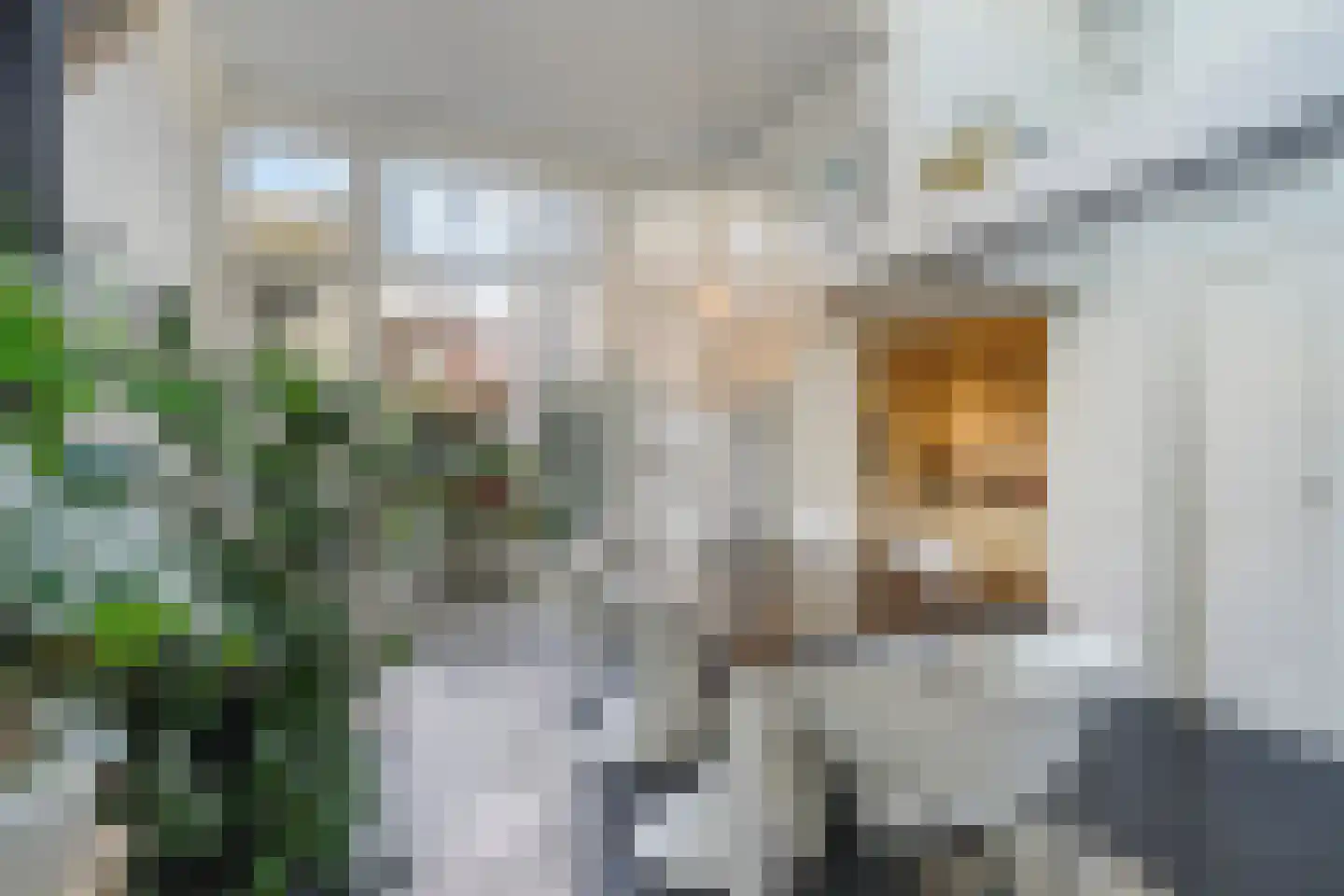 Stille Veerkade 34 Den Haag thumbnail 4