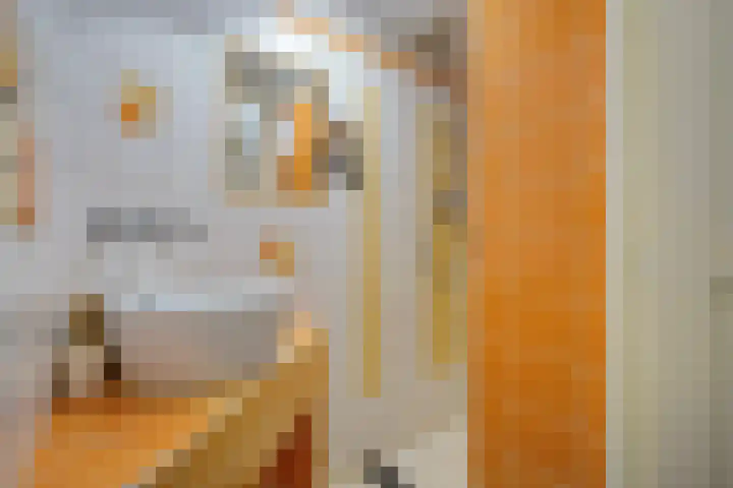 Stille Veerkade 34 Den Haag thumbnail 40