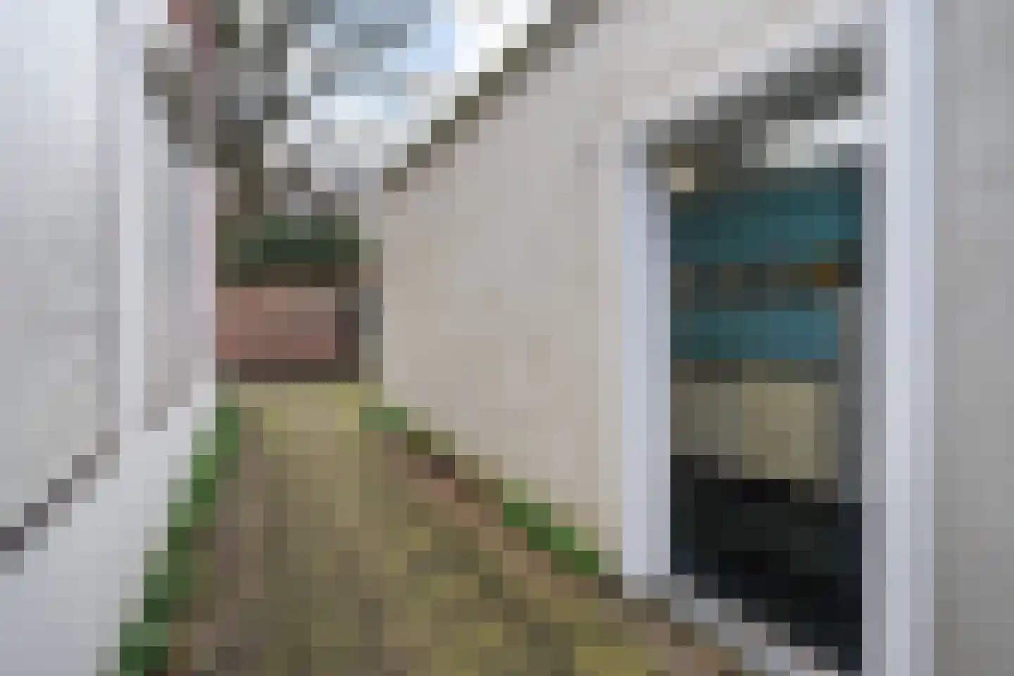 Stille Veerkade 34 Den Haag thumbnail 49