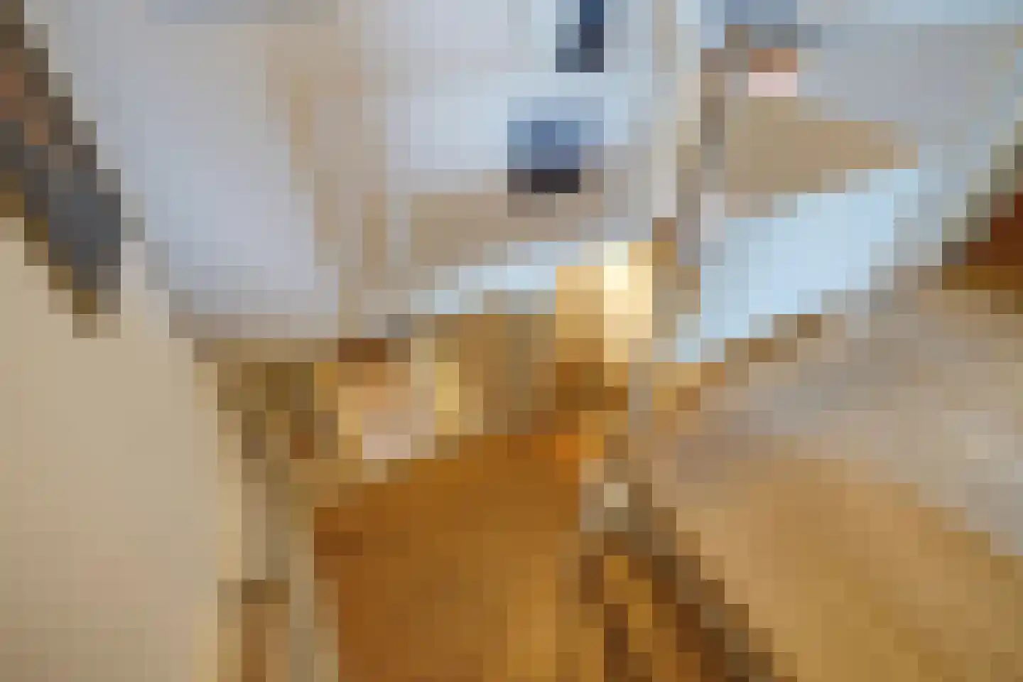 Stille Veerkade 34 Den Haag thumbnail 51