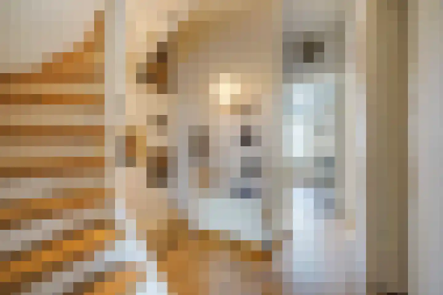 Stille Veerkade 34 Den Haag thumbnail 52