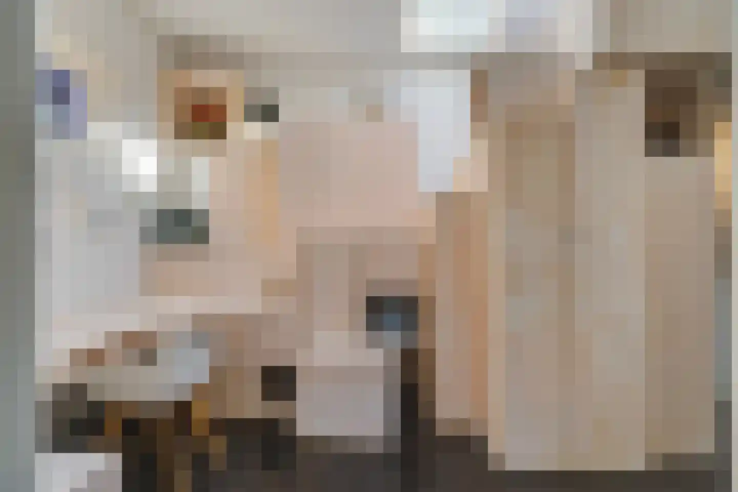 Stille Veerkade 34 Den Haag thumbnail 6