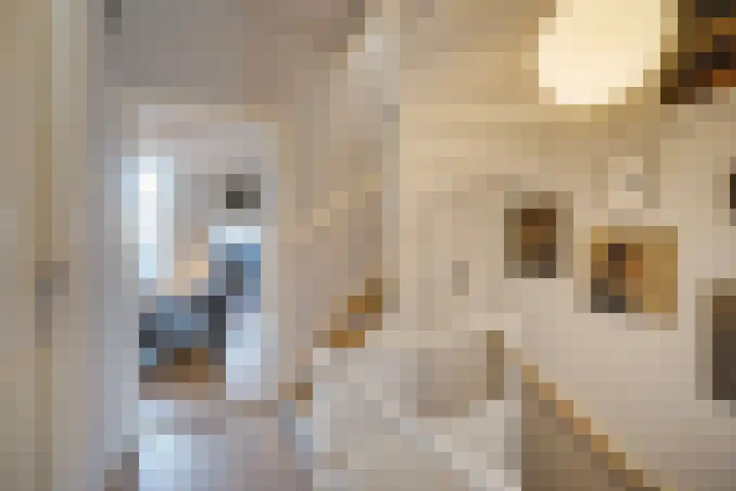 Stille Veerkade 34 Den Haag thumbnail 62