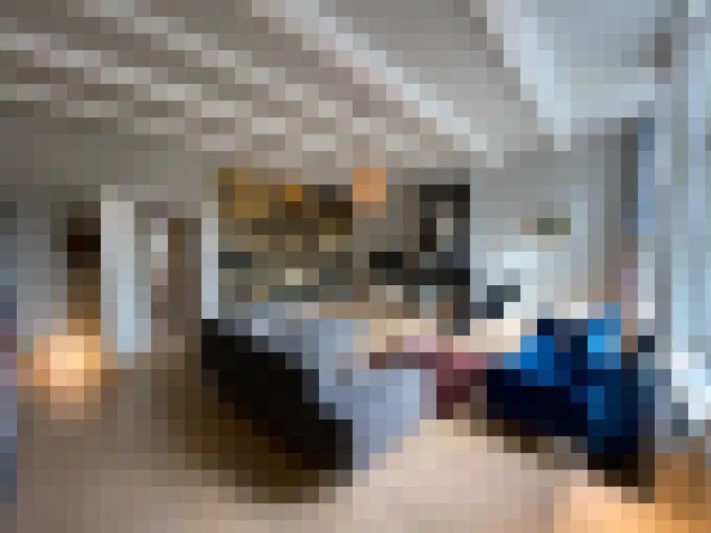Stille Veerkade 34 Den Haag thumbnail 74