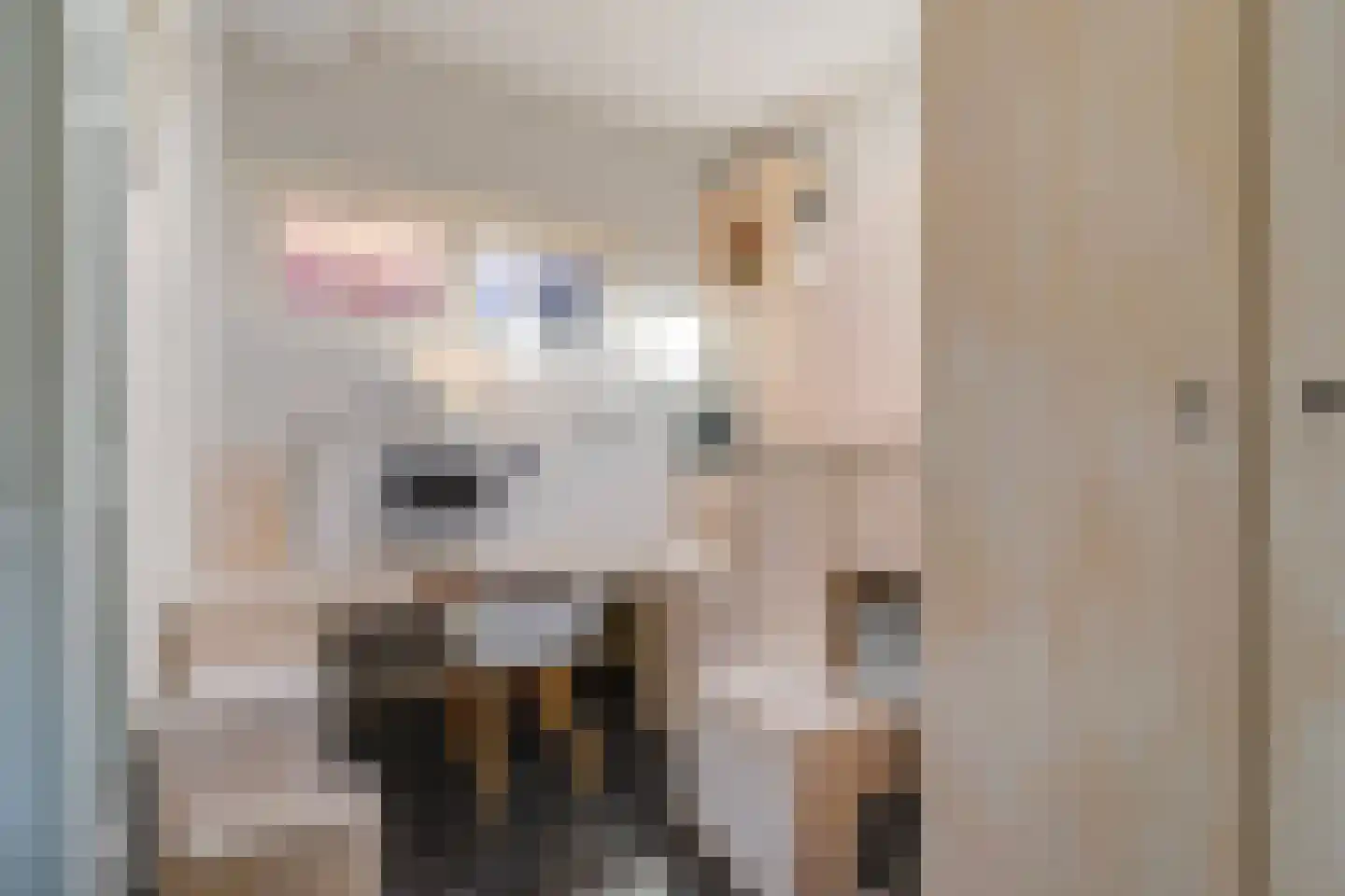 Stille Veerkade 34 Den Haag thumbnail 95