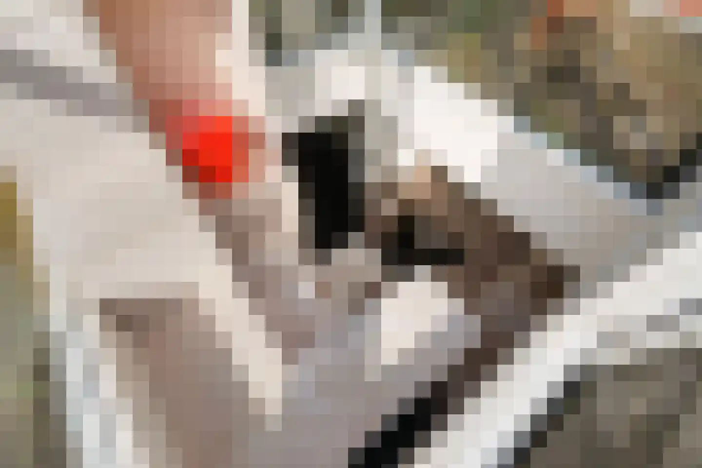 Stille Veerkade 34 Den Haag thumbnail 98