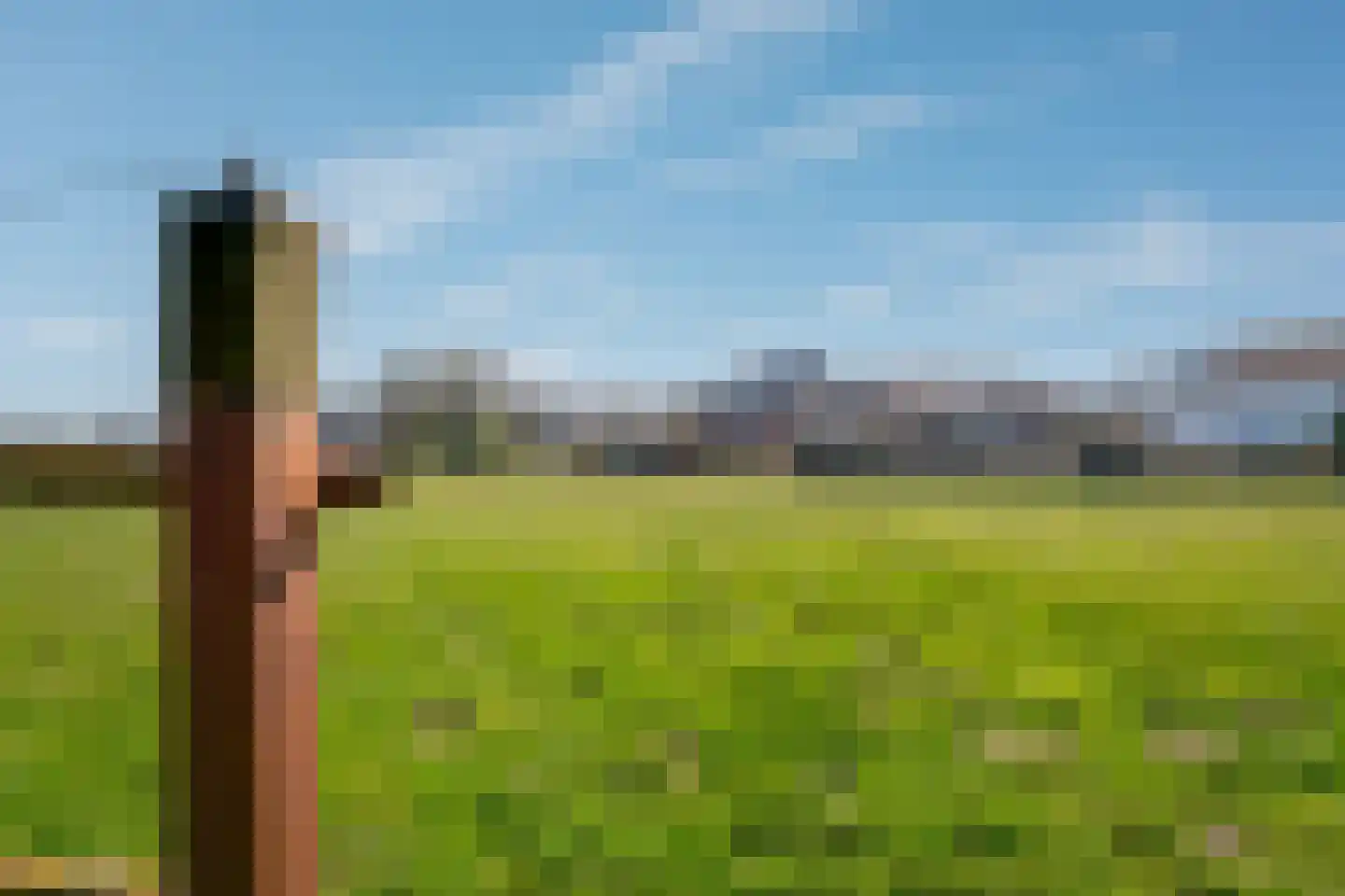 Stille Wald 1 Didam thumbnail 4