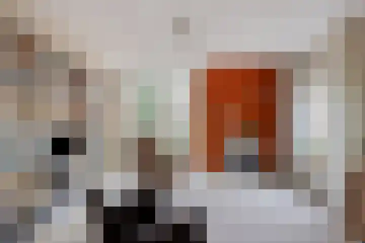 Stillendijk 7 Eindhoven thumbnail 10