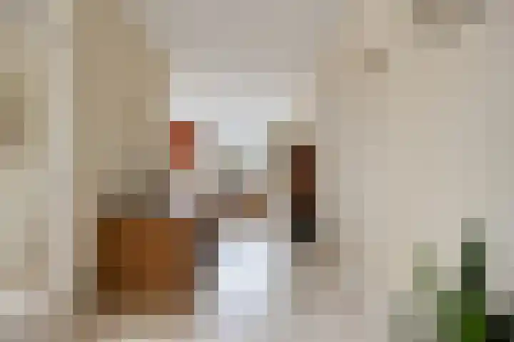 Stillendijk 7 Eindhoven thumbnail 14