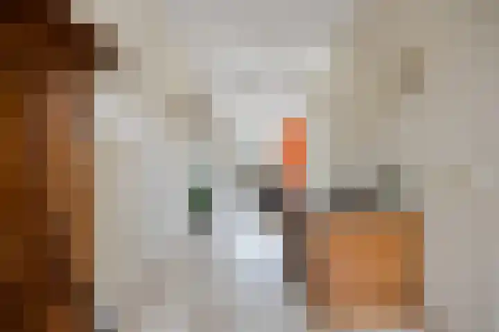 Stillendijk 7 Eindhoven thumbnail 15