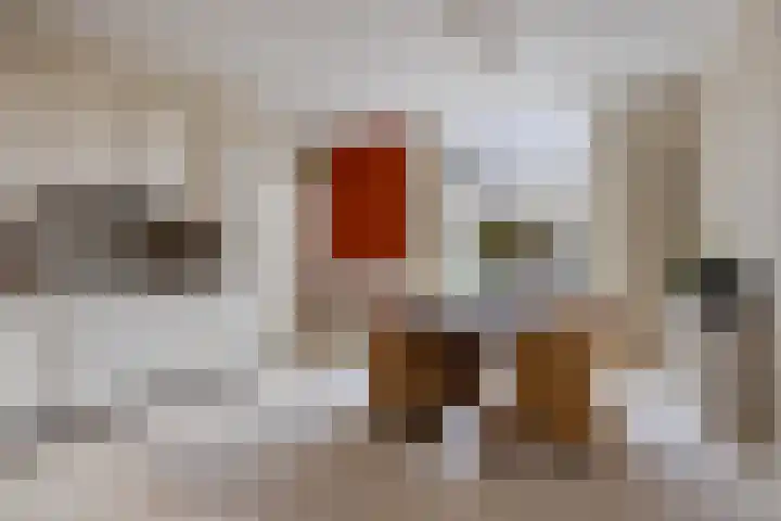 Stillendijk 7 Eindhoven thumbnail 17