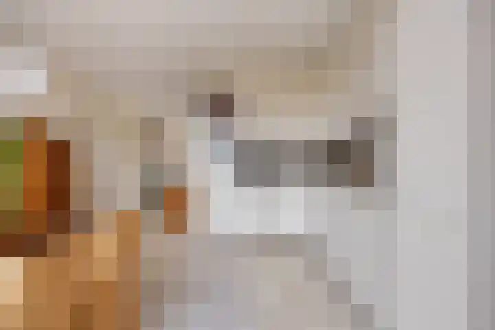 Stillendijk 7 Eindhoven thumbnail 19