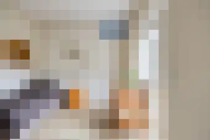 Stillendijk 7 Eindhoven thumbnail 23