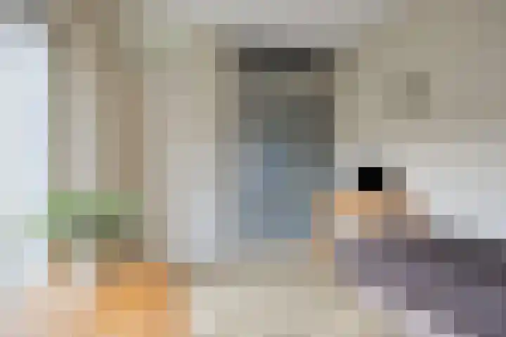 Stillendijk 7 Eindhoven thumbnail 24