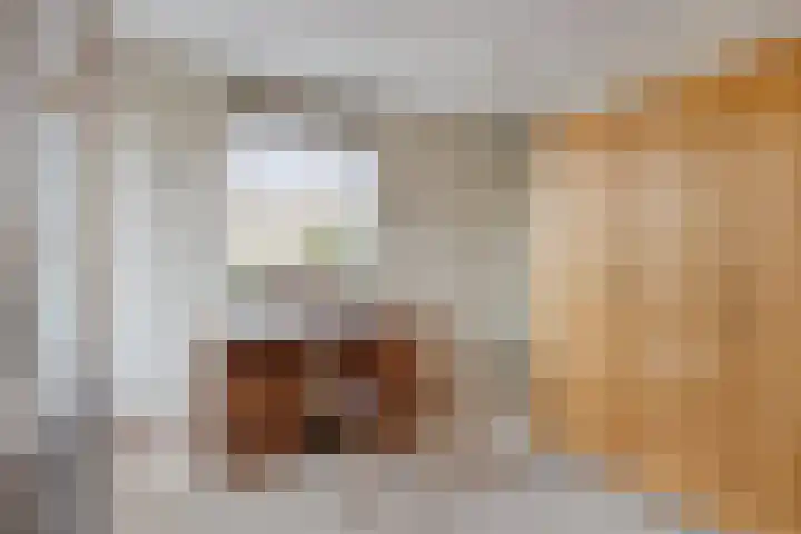 Stillendijk 7 Eindhoven thumbnail 34