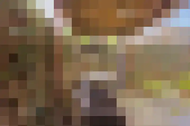 Stillendijk 7 Eindhoven thumbnail 47