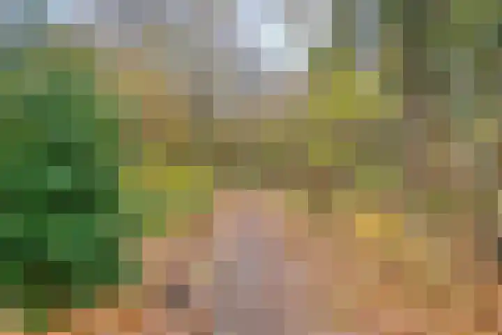 Stillendijk 7 Eindhoven thumbnail 51