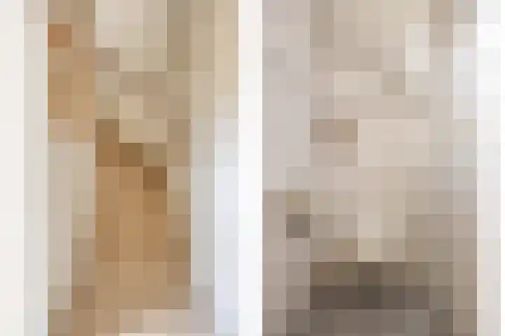 Stillendijk 7 Eindhoven thumbnail 8
