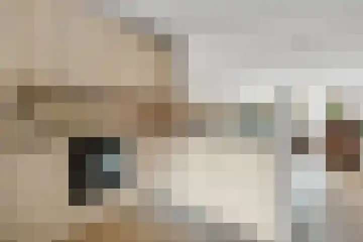 Stilobadstraat 12 Zwolle thumbnail 16