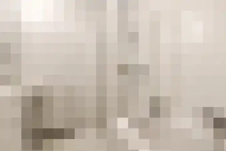 Stilobadstraat 12 Zwolle thumbnail 22
