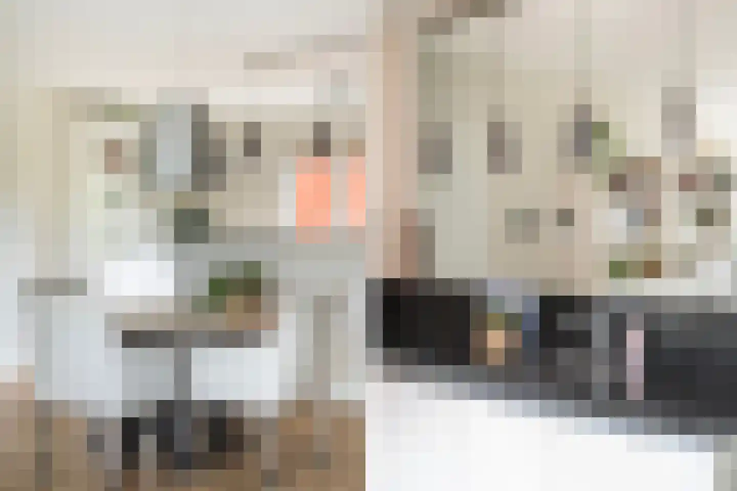 Stilobadstraat 56 Zwolle thumbnail 11
