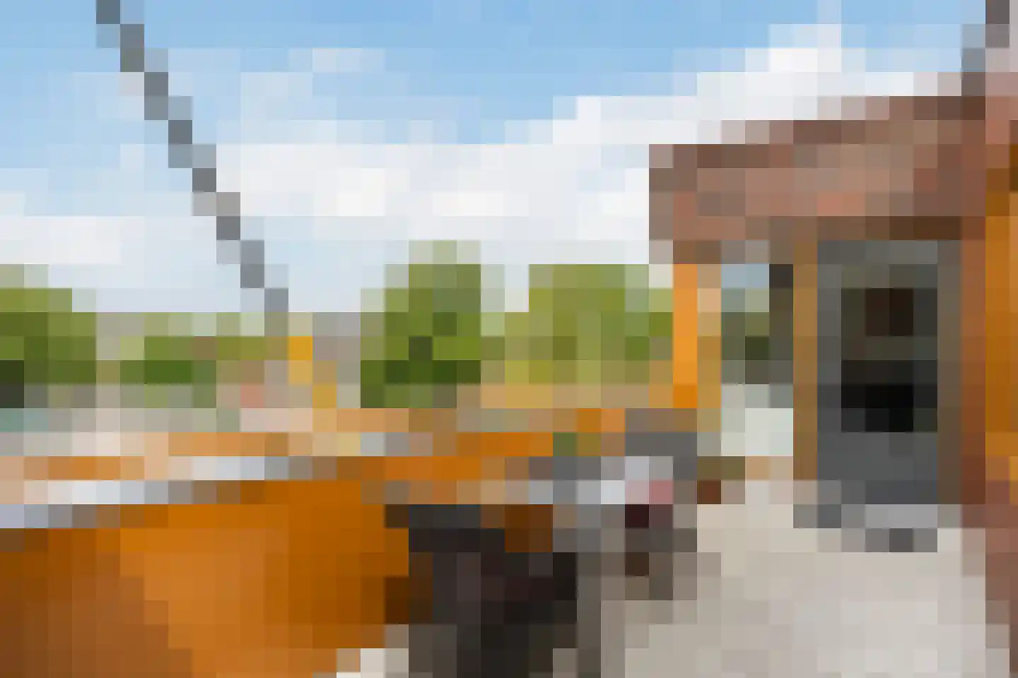 Stilobadstraat 56 Zwolle thumbnail 15