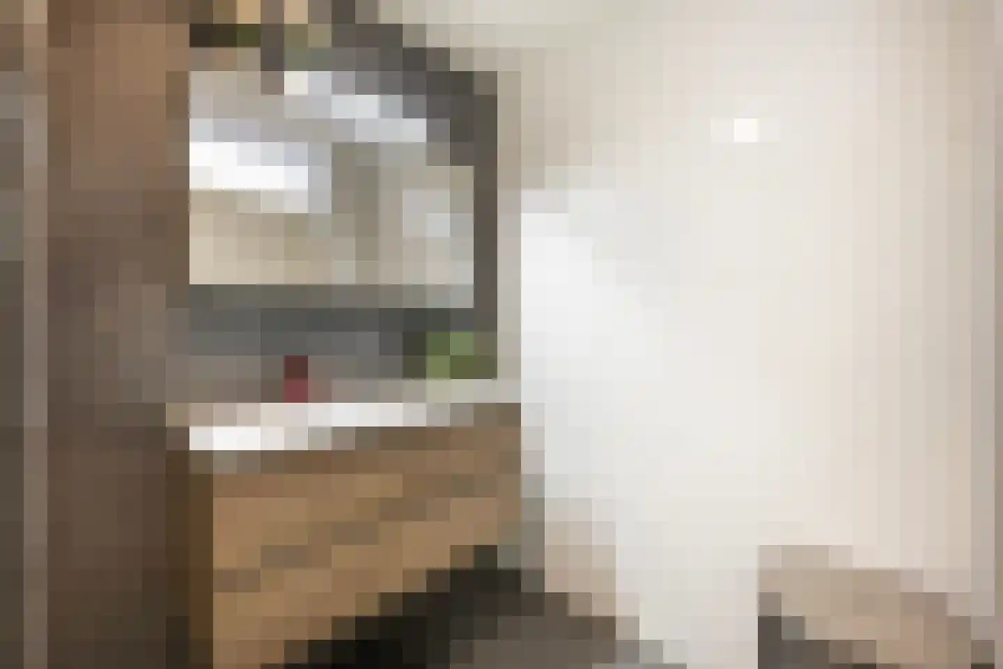 Stilobadstraat 56 Zwolle thumbnail 23