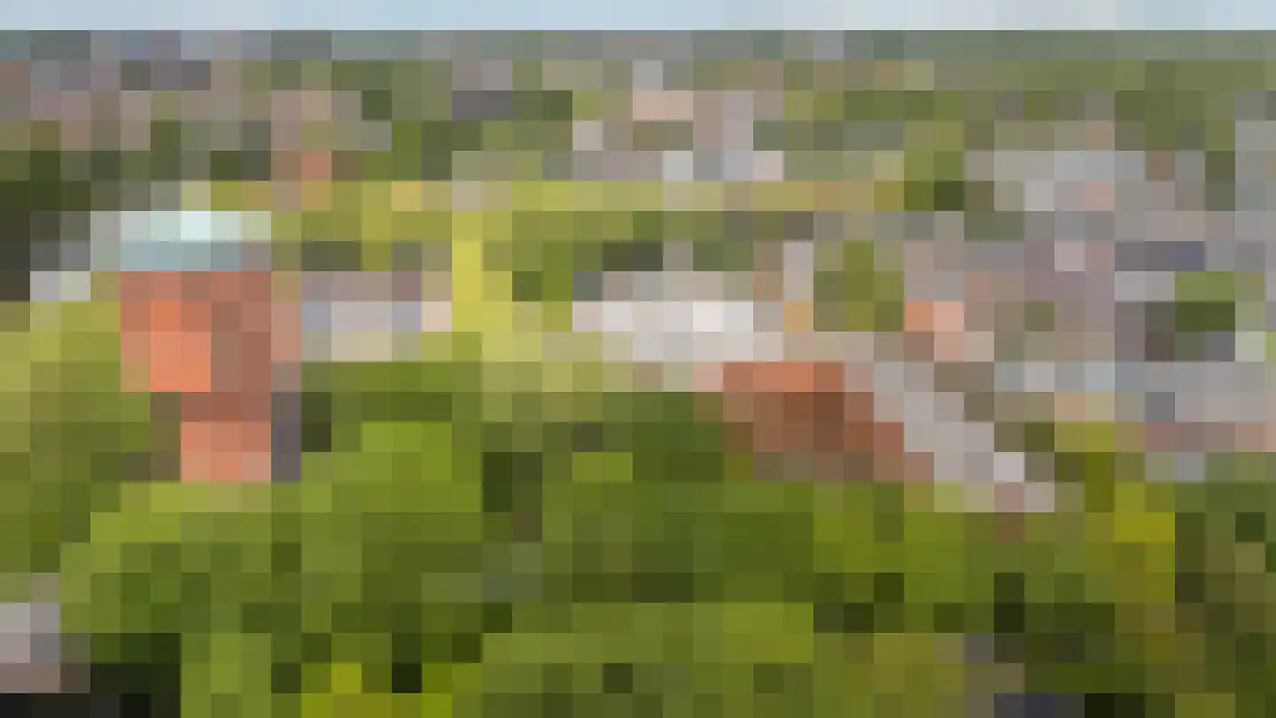 Stilobadstraat 56 Zwolle thumbnail 31