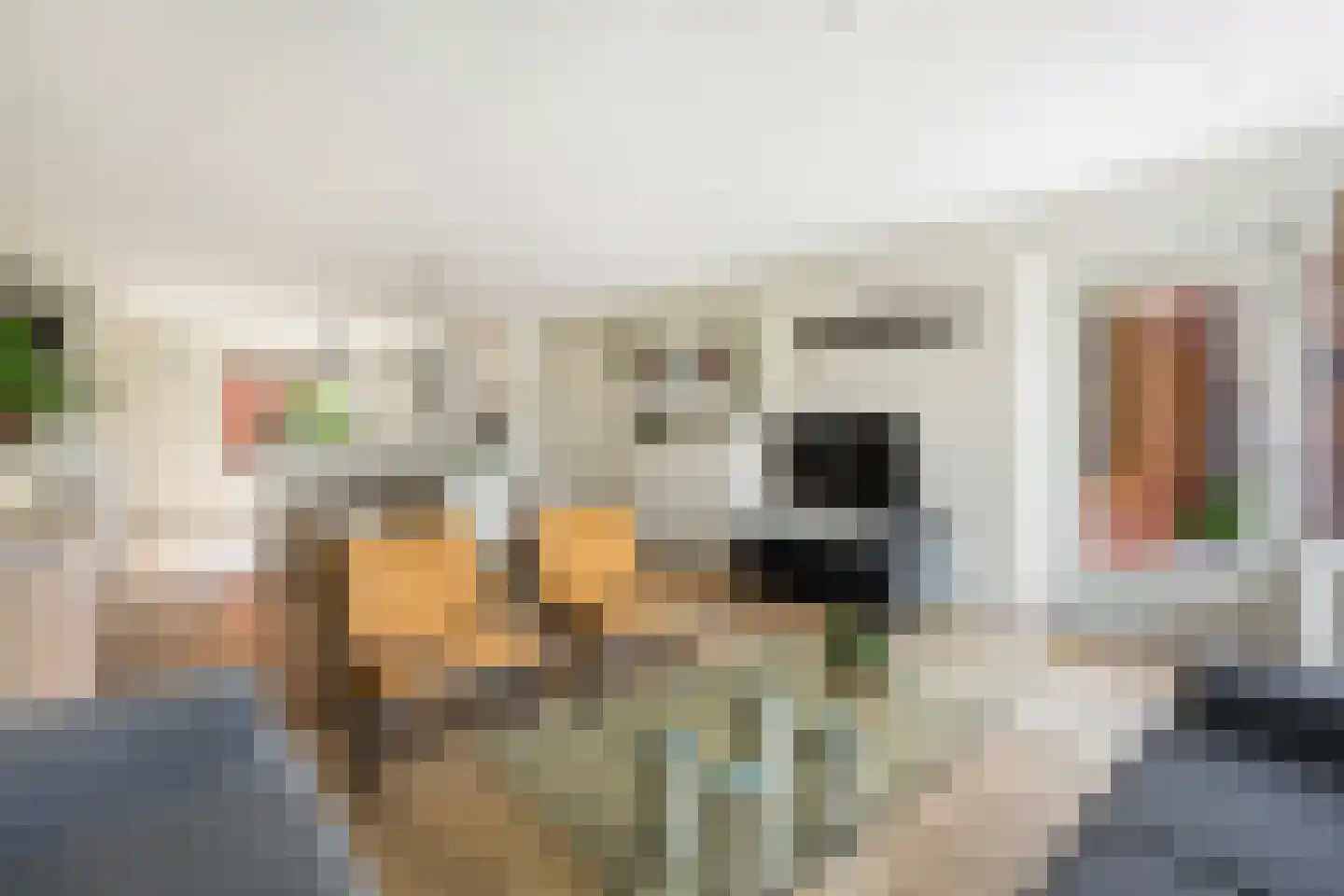 Stilobadstraat 56 Zwolle thumbnail 7
