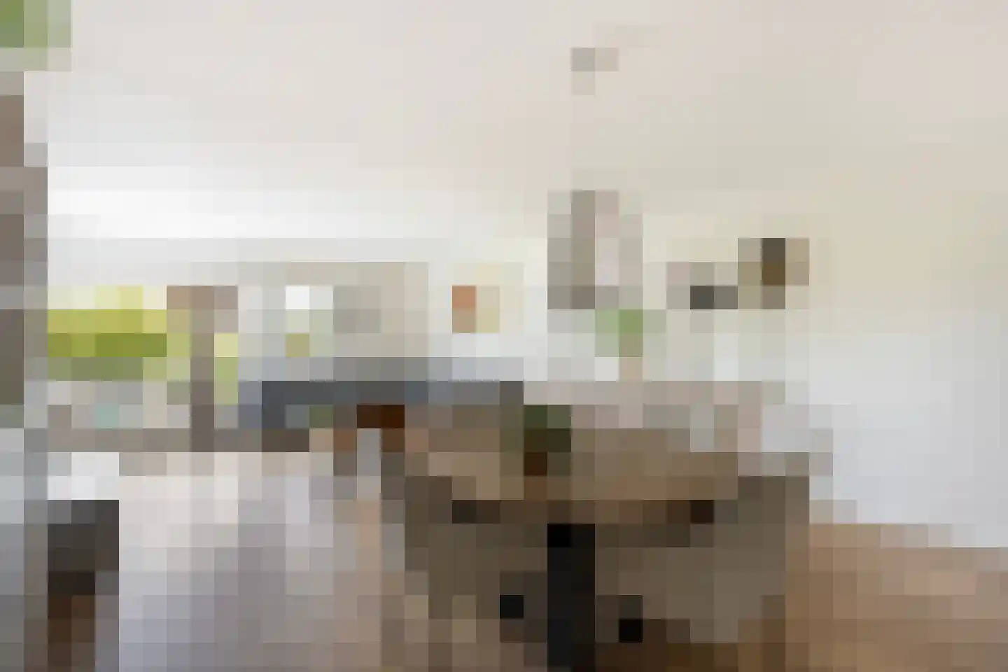 Stilobadstraat 56 Zwolle thumbnail 8