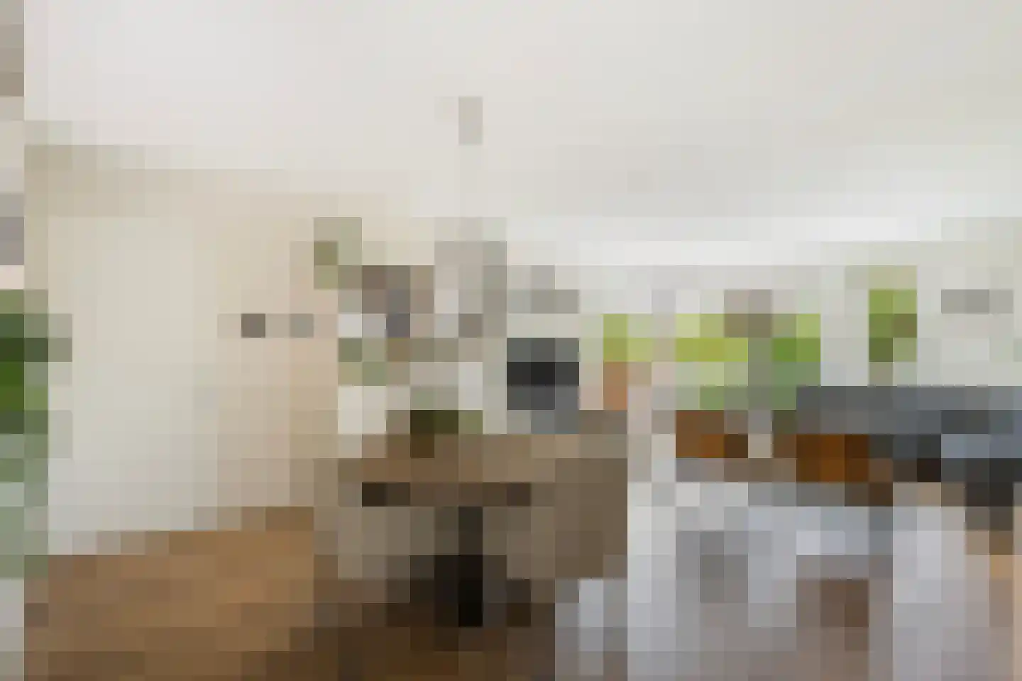 Stilobadstraat 56 Zwolle thumbnail 9