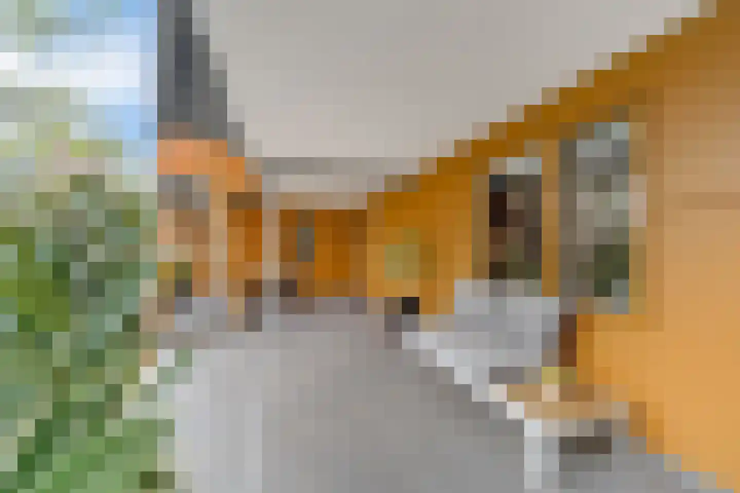 Stilobadstraat 6 Zwolle thumbnail 4