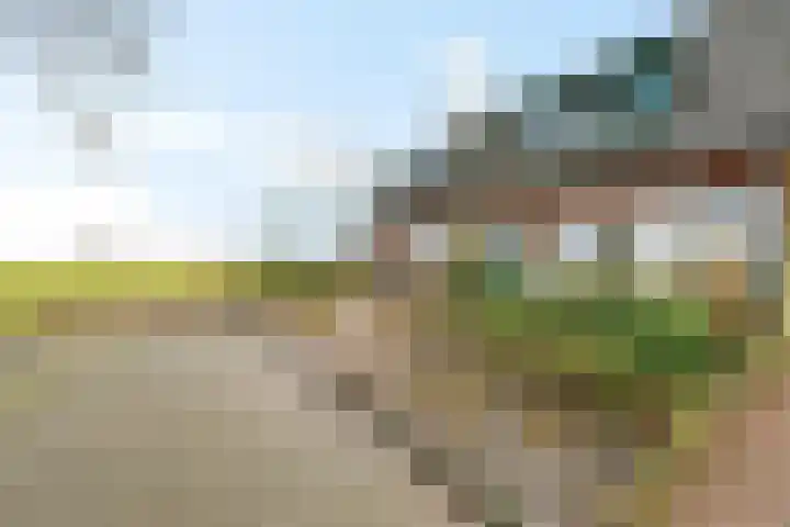 Stimhússtrjitte 28 Brantgum