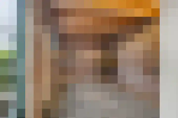 Stimhússtrjitte 28 Brantgum thumbnail 13