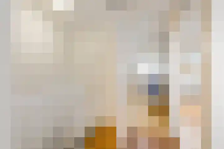 Stimhússtrjitte 28 Brantgum thumbnail 15