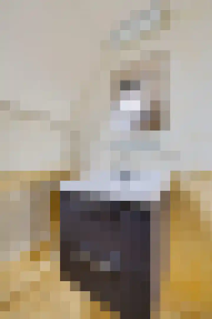 Stimhússtrjitte 28 Brantgum thumbnail 16