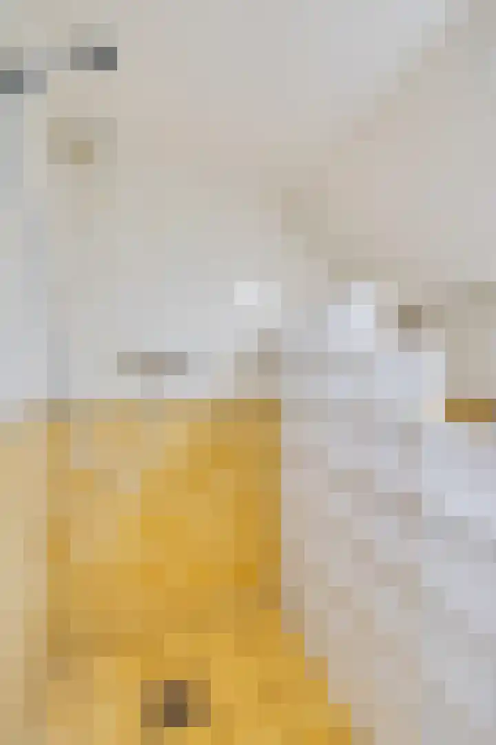 Stimhússtrjitte 28 Brantgum thumbnail 17