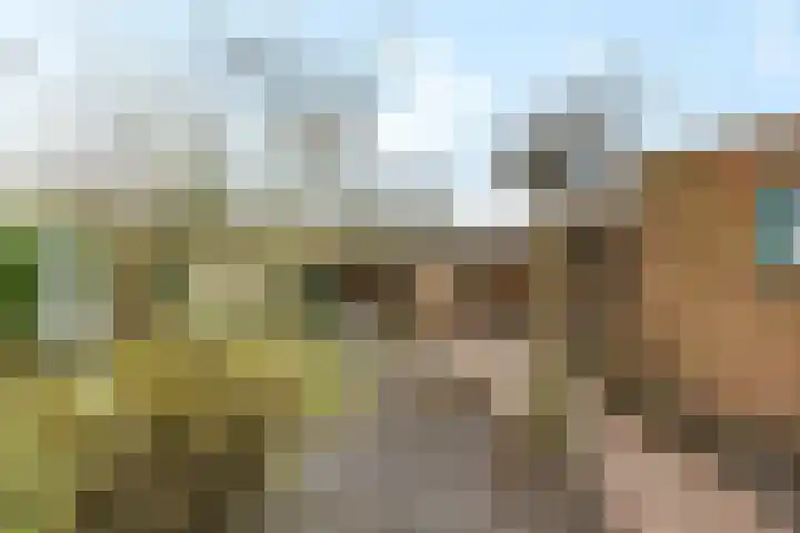 Stimhússtrjitte 28 Brantgum thumbnail 23