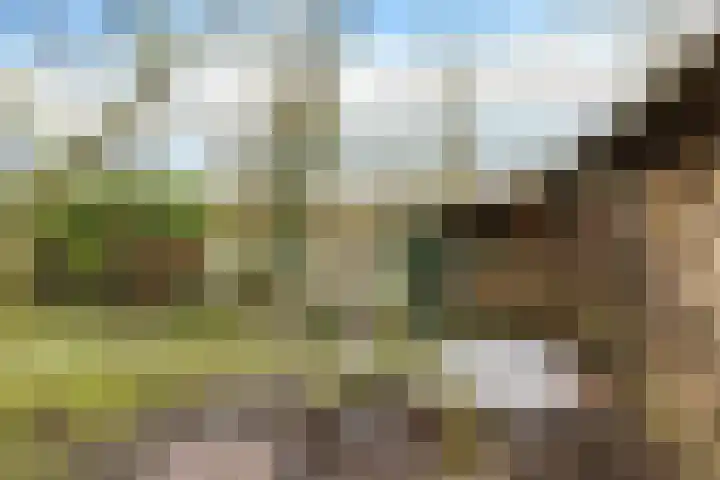 Stimhússtrjitte 28 Brantgum thumbnail 24