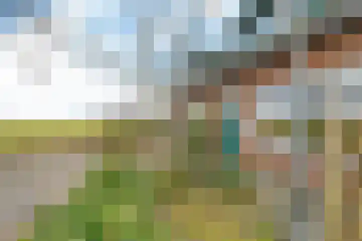 Stimhússtrjitte 28 Brantgum thumbnail 25