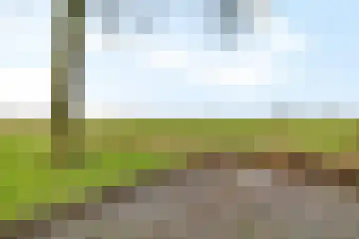 Stimhússtrjitte 28 Brantgum thumbnail 26