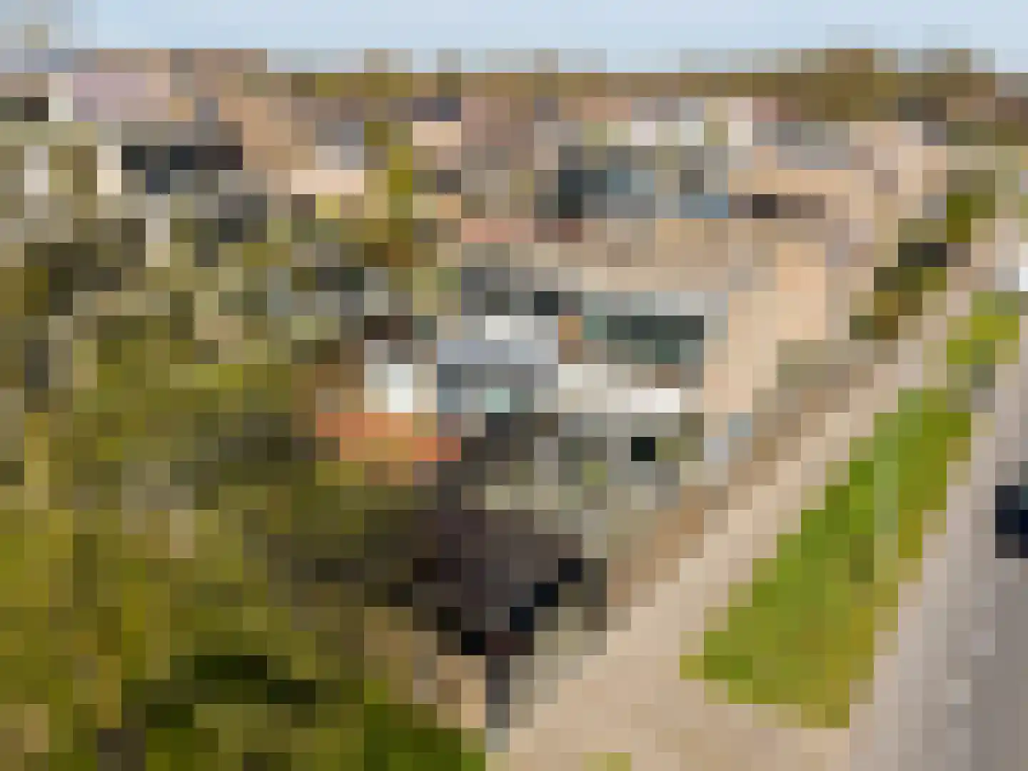Stins 33 Almelo thumbnail 35