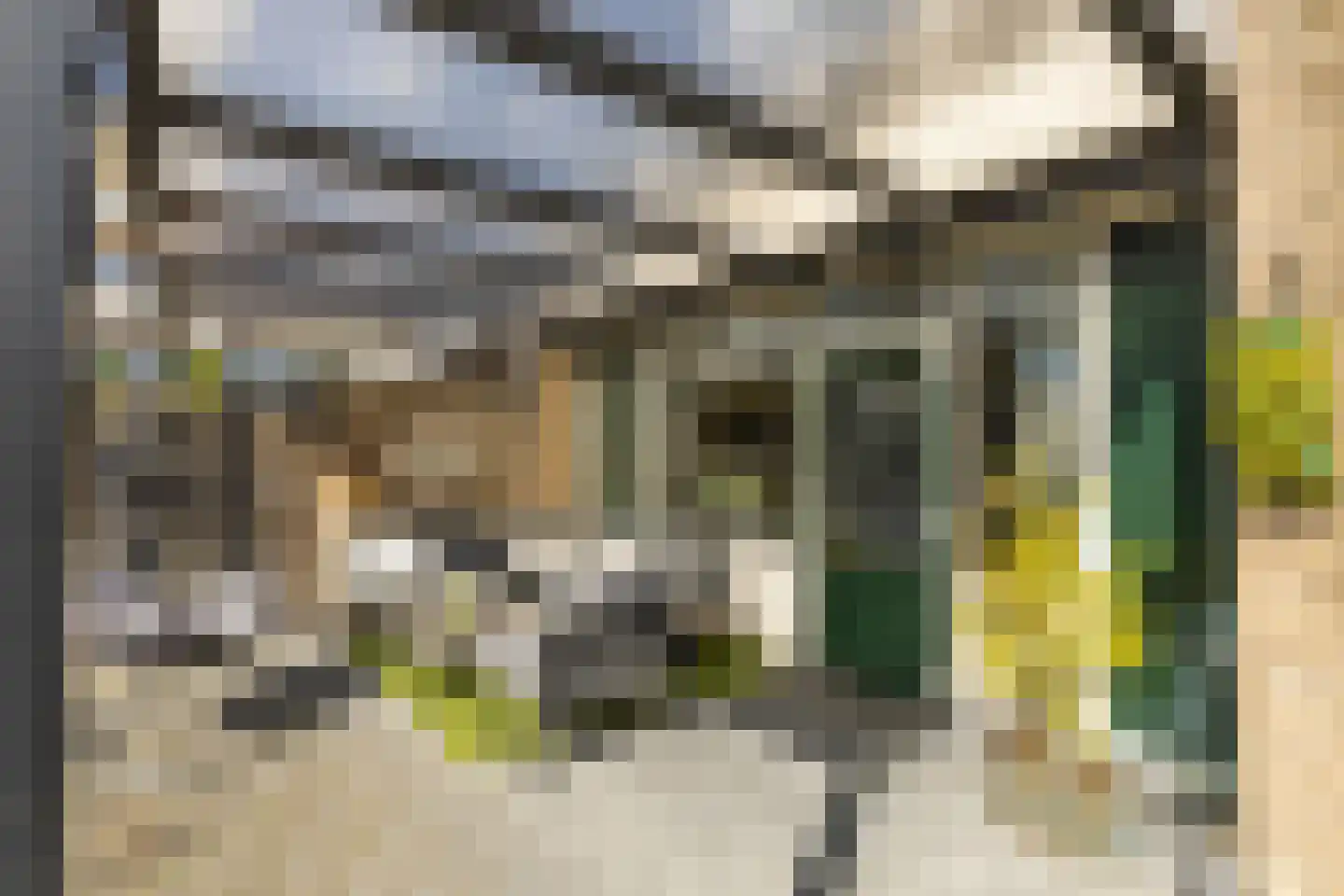 Stins 33 Almelo thumbnail 41